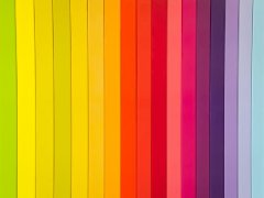 Two decades of color
