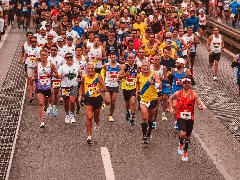 Belgrade is running! The 38th Comtrade Belgrade Marathon