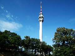 Creating new surroundings at the base of the Avala Tower