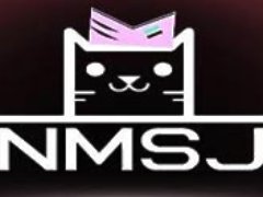 NMSJ