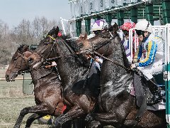 Hippodrome Belgrade